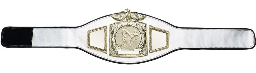 PROEAGLE KICKBOXING CHAMPIONSHIP BELT - PROEAGLE/G/KBOG - AVAILABLE IN 6+ COLOURS PROEAGLE KICKBOXING CHAMPIONSHIP BELT - PROEAGLE/G/KBOG - AVAILABLE IN 6+ COLOURS